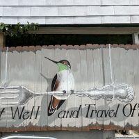 IMG_0638