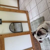 IMG_0660